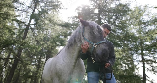 Mature male in forrest with horse in nature, outdoors with lens flare photo