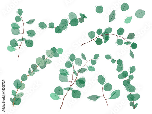 Eucalyptus silver dollar , natural leaves and branches designer art tropical elements set. Hand drawn in watercolor style. Floral illustration isolated on white background. For design and textile.