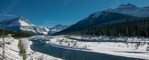 Canada, Alberta. Early winter snow, Banff National Park.