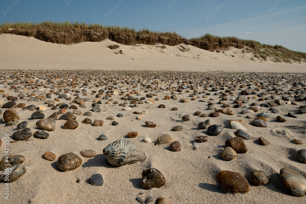 Thousand shells and zero people Thousand shells and zero people