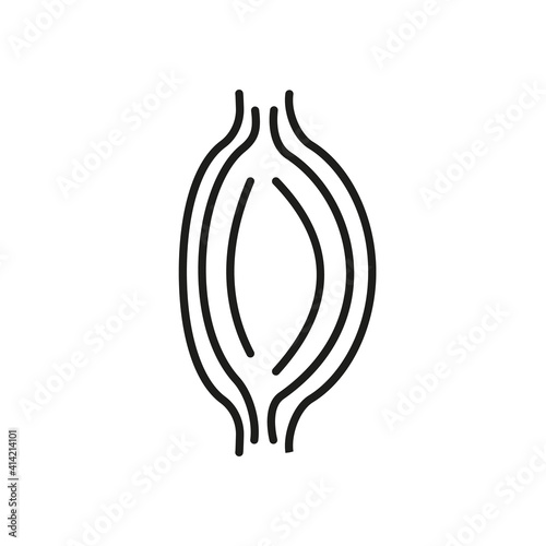 Muscle fiber outline icon. Human anatomy design illustration for medical concept, healthcare apps.