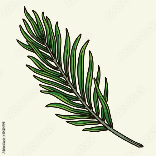 Colorful concept of green palm leaf