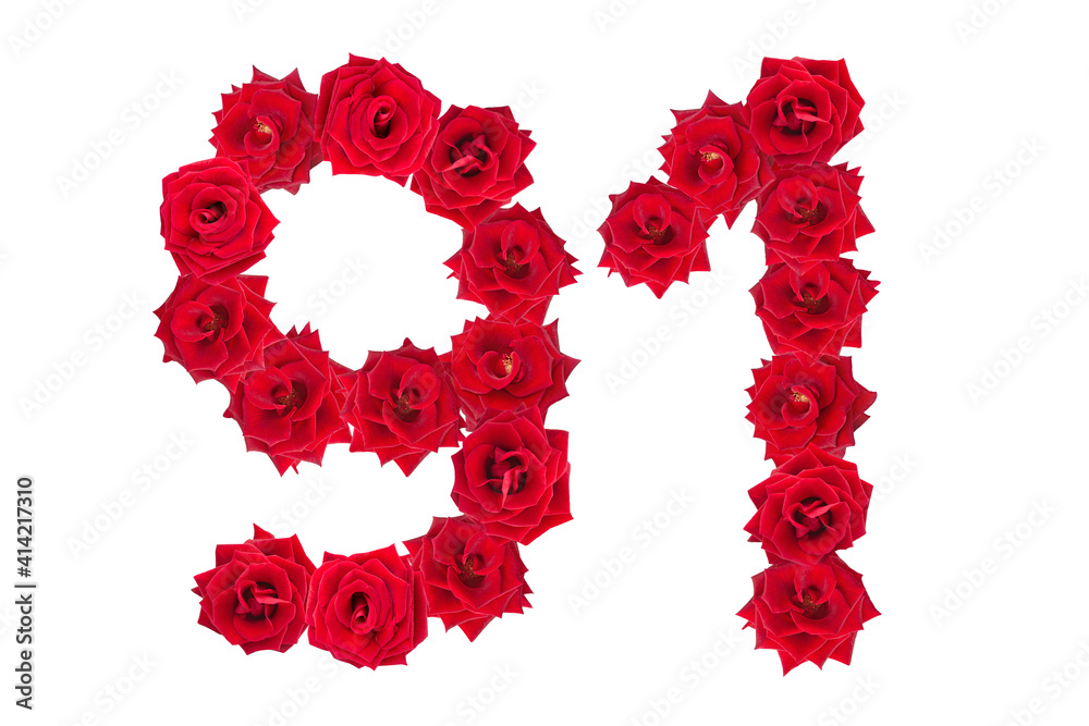 Numeral 91 made of red roses on a white isolated background. Element for decoration. ninety one. Red roses.