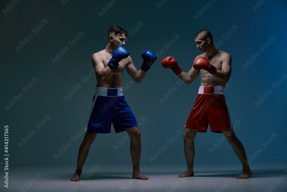Sparring of two fighting males boxers during battle in blue studio light, martial arts, mixed fight concept