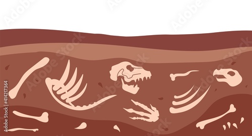 Archeology bones. Animal fossil, dirt ground layers with ancient dinosaur skull. Skeleton underground, paleontology utter vector illustration. Skeleton dinosaur, archeology and geological bones
