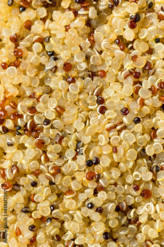 Healthy Cooked White Quinoa Healthy Cooked White Quinoa