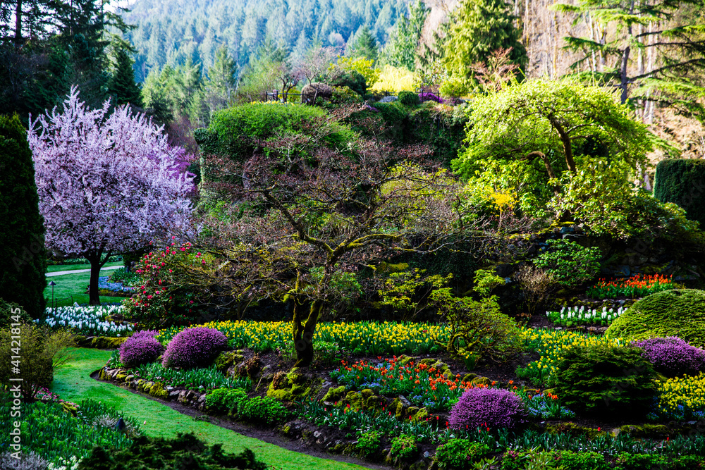 Butchart Gardens, Victoria, British Columbia, Canada. Spring flowering trees, flowers and shrubs