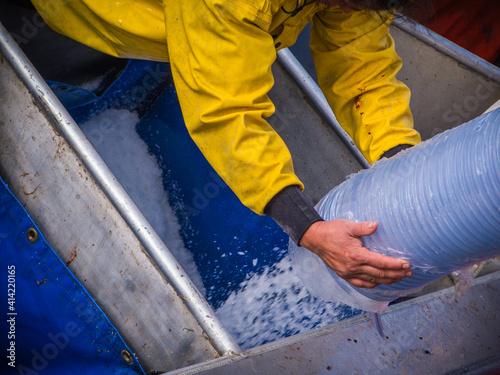 Ice flows into the hold of a fishing boat in Bristol Bay Alaska