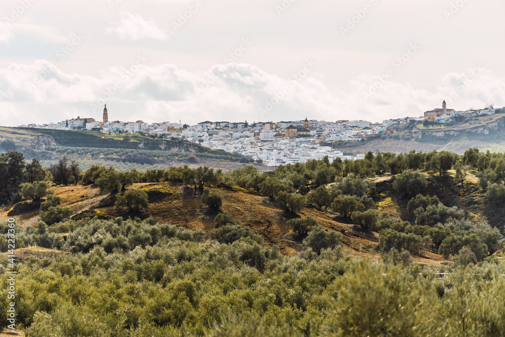 Stock photo of rural village with white houses in the middle of olive trees plantation. Aguilar de la Frontera, Spain.