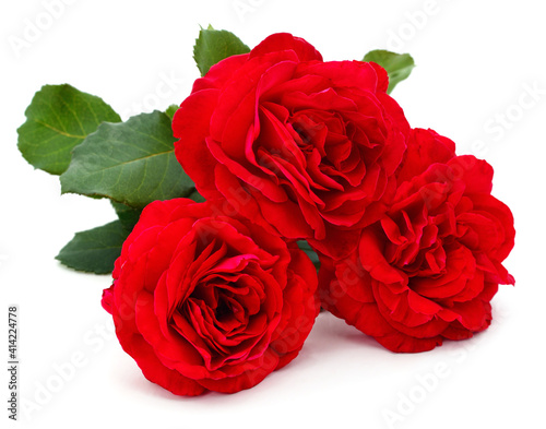 Three beautiful red roses.