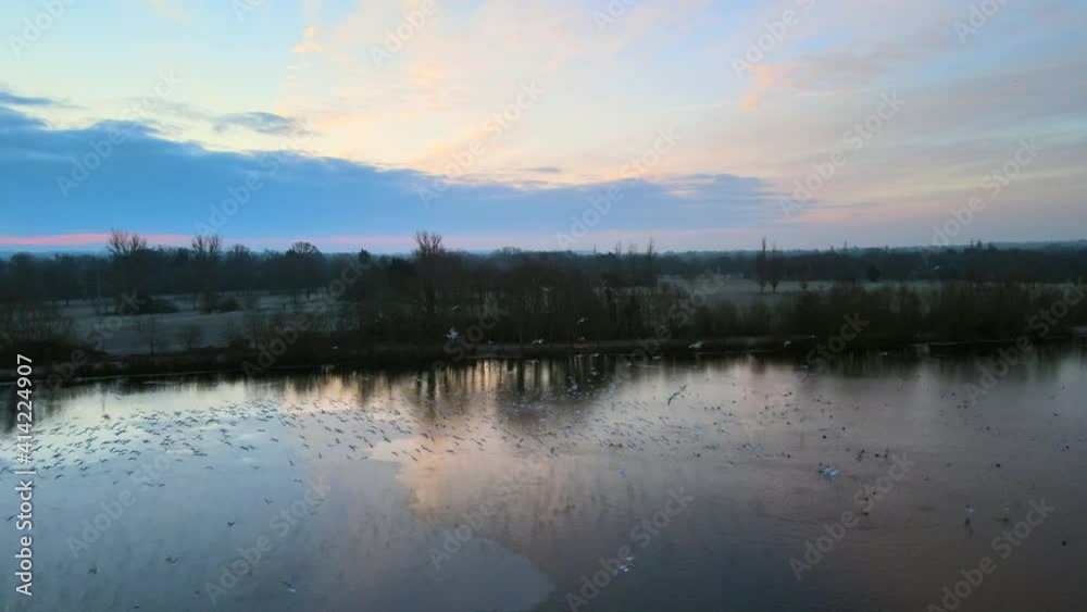 Birds scatter over frozen winter lake at sunrise Birds scatter over frozen winter lake at sunrise