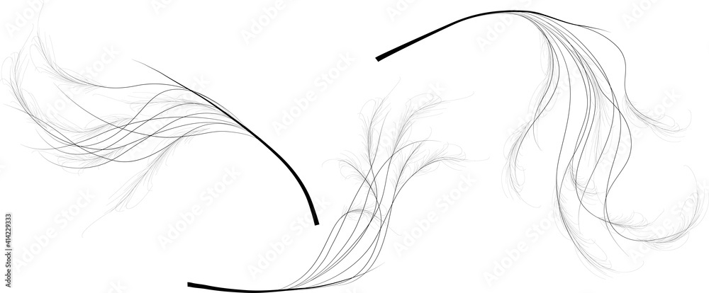 Stipa, feather grass, lessingiana mat grass, Bouquet element, decorative vector illustration set. Black on white silhouette isolated. Floral composition part. Feather texture