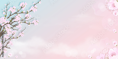 Spring apple blossom on blue and pink pastel sky background  Vector illustration Blossoming branches pink sakura flowers on springtime with falling petals  Sweet background for spring or Summer sale
