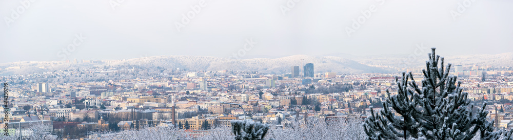 Morning view of a frozen and snowy city with trees in the foreground