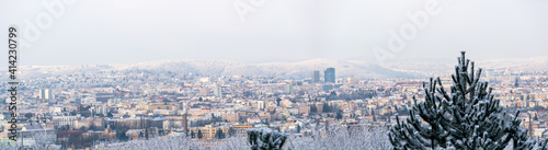 Morning view of a frozen and snowy city with trees in the foreground