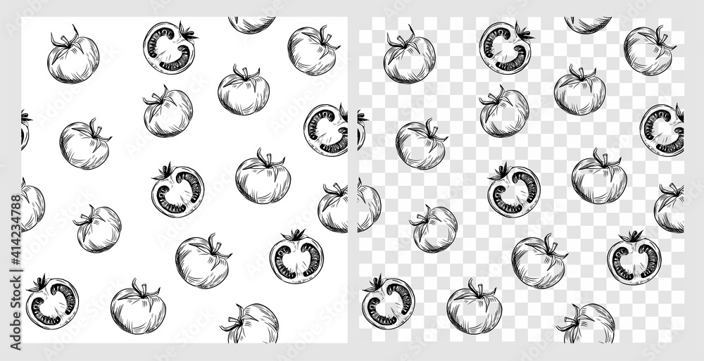 Tomato sketch. Seamless pattern. Line art. . Black vector outline on transparent background