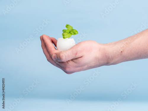Plant sprout in eggshell on a blue background in a man's hand. Ecological organic product, plant cultivation.