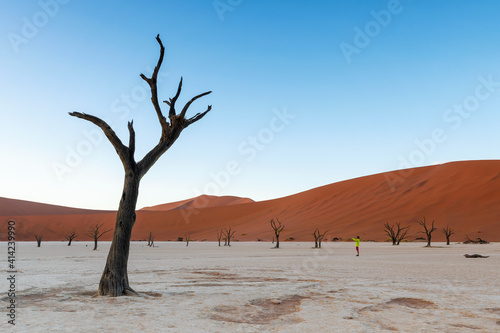 Magnificent Deadvlei, Namibia's top attraction. It is a white clay pan located inside the Namib-Naukluft Park. These trees died, as there is not enough water to survive.