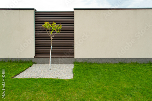 Tree in a square area of stones on the green grass, in the background of a brown and gray concrete fence. Idea for backyard landscaping. Space for text.