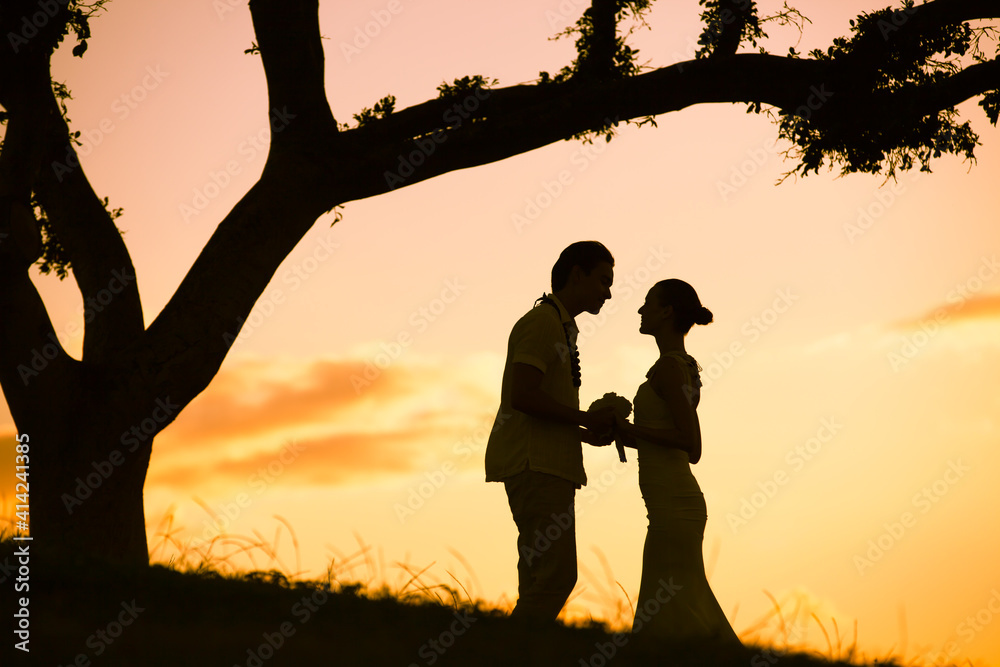 Silhouette of just married couple feeling involve at sunset Silhouette of just married couple feeling involve at sunset
