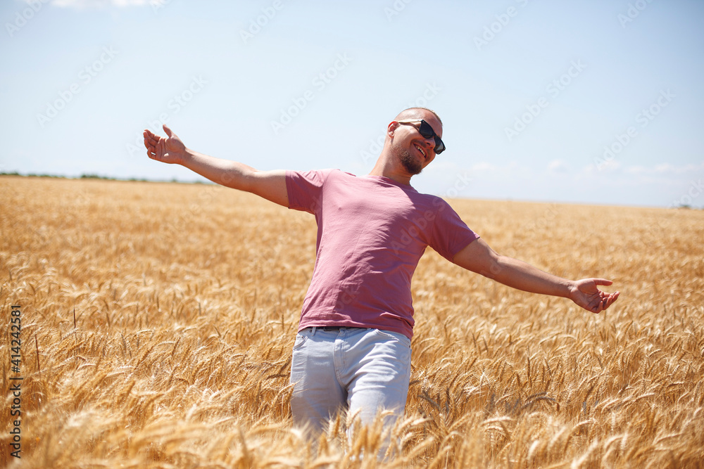 bald bearded guy laughs and falls in a field of golden yellow wheat bald bearded guy laughs and falls in a field of golden yellow wheat