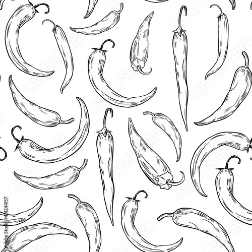 Spicy pepper. Seamless pattern. sketch illustration. Black outline on transparent background. Vector