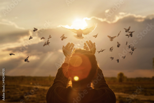 Fotografia, Obraz Doves fly into the woman hands .