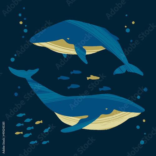 Two whales. Ocean animals in trendy flat style.