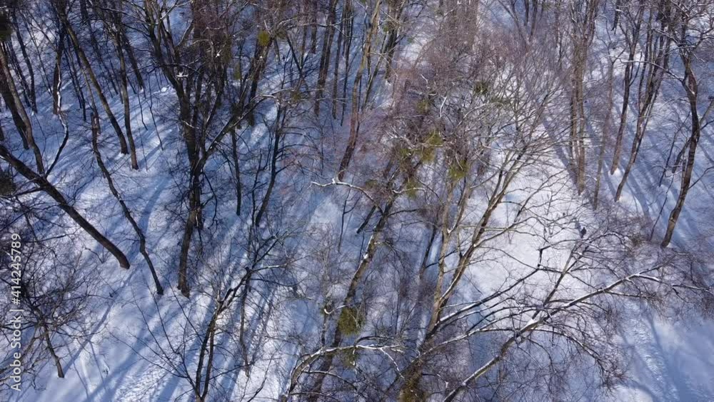 Aerial view of a drone flying over the winter park. Aerial view of a drone flying over the winter park.