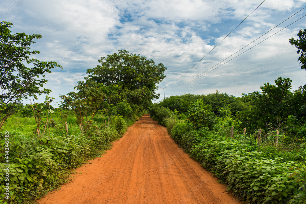 Countryside paths in Oeiras, Piaui (caatinga biome) lush and green in the rainy season - Northeast Brazil Countryside paths in Oeiras, Piaui (caatinga biome) lush and green in the rainy season - Northeast Brazil