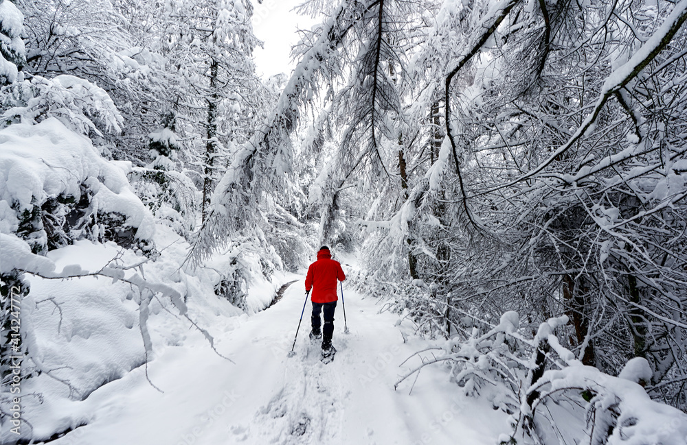 Man with snowshoes and a red jacket walking in the snow