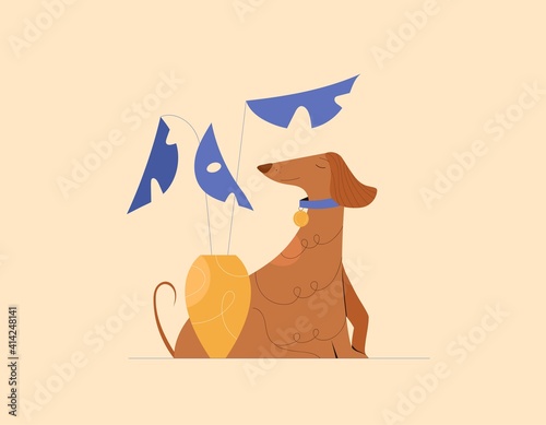 Afghan hound, sitting, side view. Vector flat cartoon illustration, composition with house plant