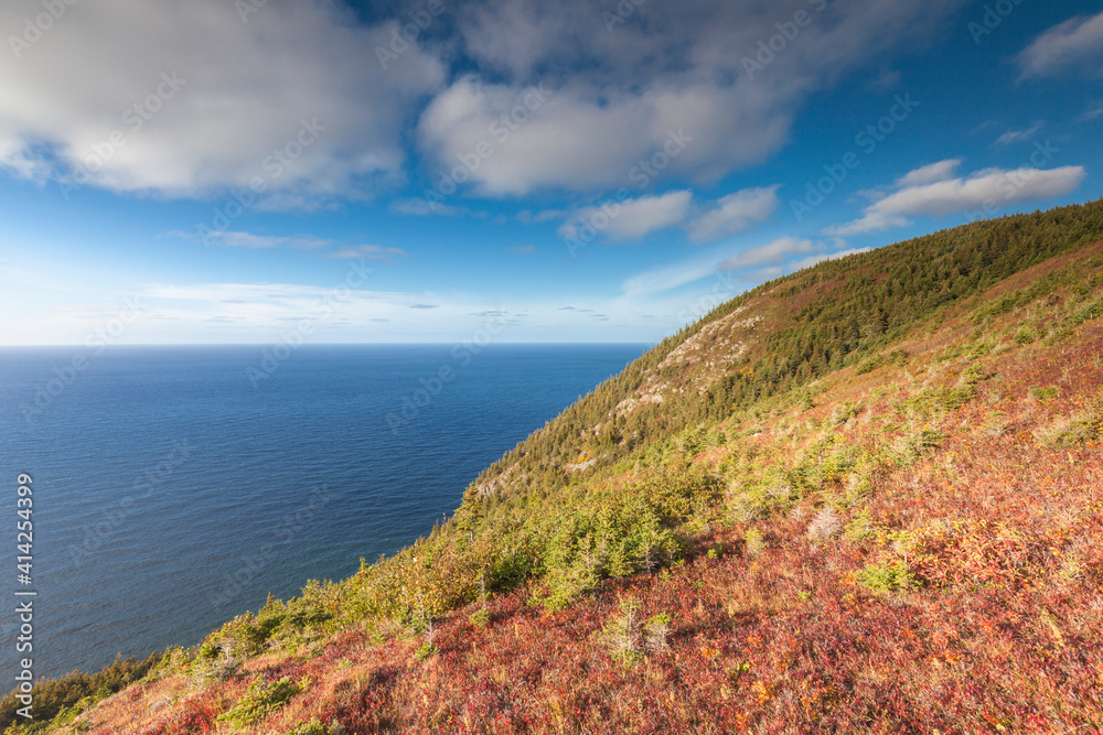 Canada, Nova Scotia, Cabot Trail. Cape Breton Highlands National Park, elevated view of the Atlantic Ocean from The Skyline Trail.