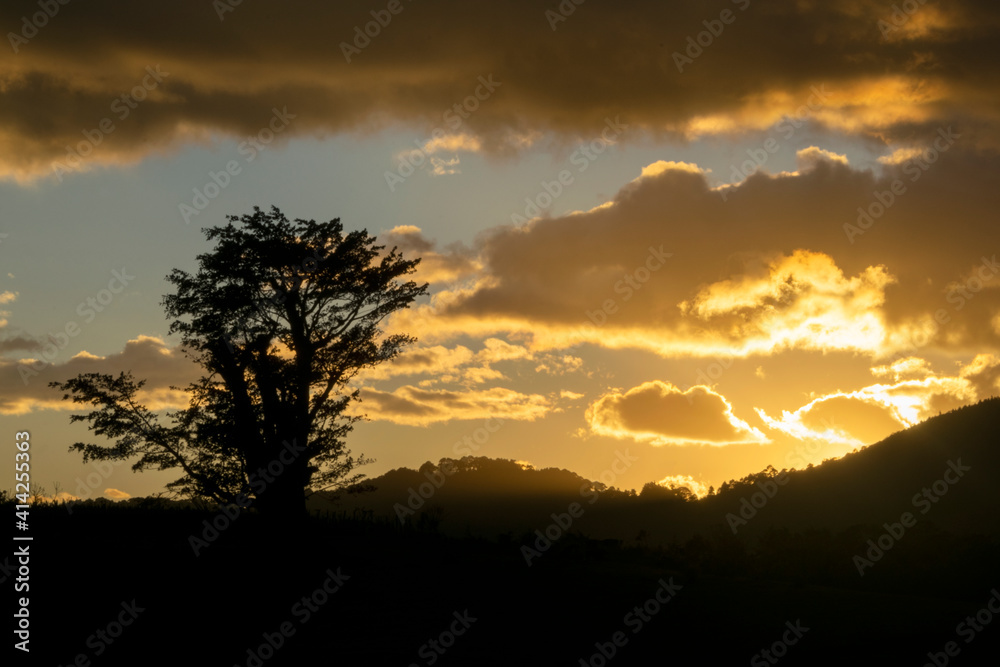 Silhouette of trees and clouds at sunset outdoors in rural Guatemala, inspiration reflection of heavenly creation.