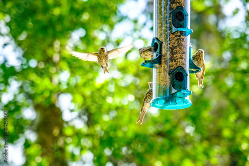 close up shot of a bunch of laundry