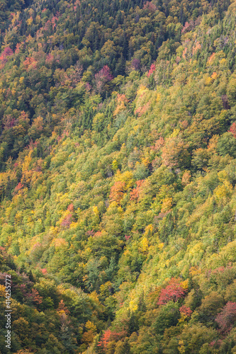 Canada, Nova Scotia, Cabot Trail. Cape Breton Highlands National Park, elevated view of autumn foliage from MacKenzie Mountain. © Danita Delimont