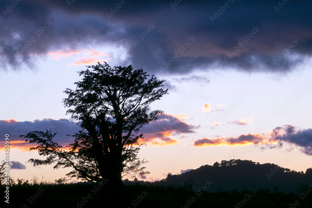Silhouette of trees and clouds at sunset outdoors in rural Guatemala, inspiration reflection of heavenly creation. Silhouette of trees and clouds at sunset outdoors in rural Guatemala, inspiration reflection of heavenly creation.