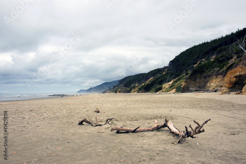 Beach driftwood © Michael
