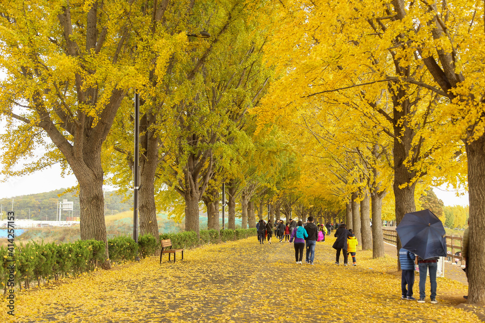 walk in the park