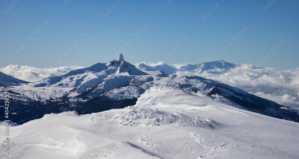 Beautiful Panoramic View of Black Tusk and Canadian Nature Landscape covered in Snow during winter. Taken on top of Whistler Mountain, British Columbia, Canada. Nature Background Panorama.