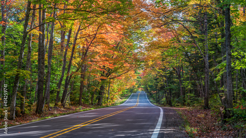 Fototapeta Naklejka Na Ścianę i Meble -  Autumn drive through the tunnel of Trees in Michigan Upper Peninsula UP - Highway 41  M26