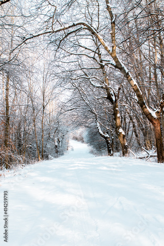 snow covered road © fanynka_u