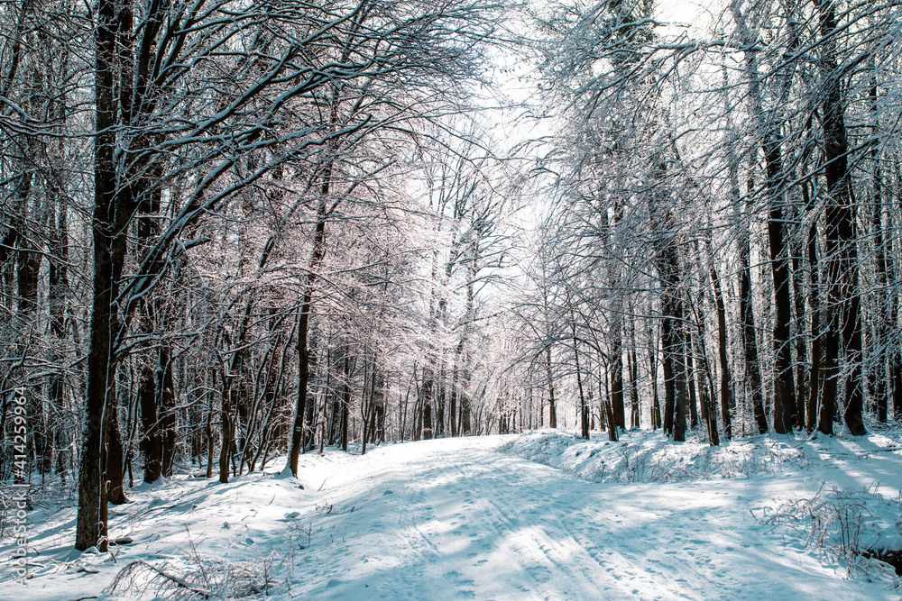Fototapeta premium snow covered road