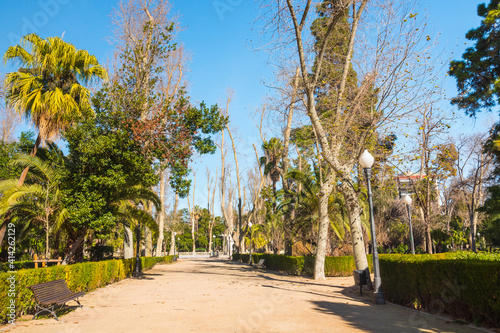 Castellón de la Plana, Valencian Community, Spain (Costa del Azahar). Ribalta Park alley. Beautiful public park.