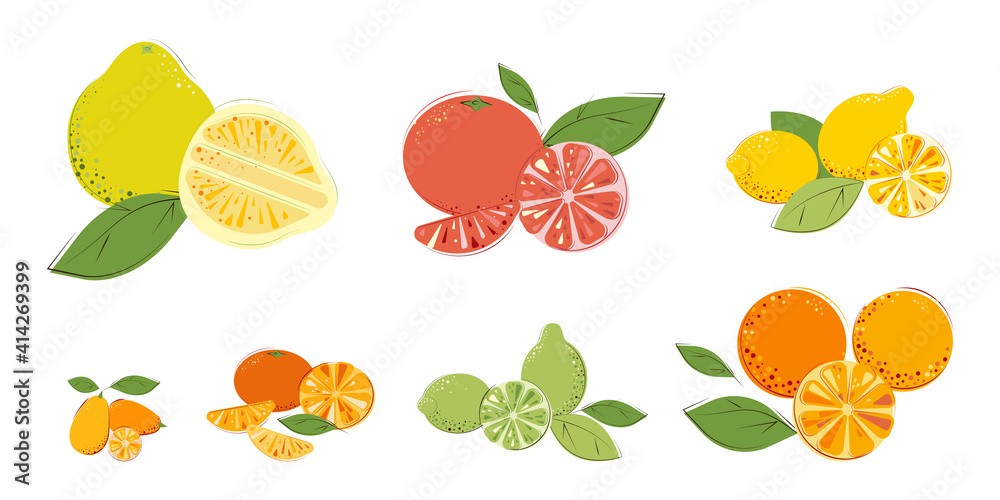 Set of citrus fruits. Ripe juice vitamin fruits: Pomelo, Grapefruit, Lemon, Oranges, Lime, Mandarins, Kumquat Set of citrus fruits. Ripe juice vitamin fruits: Pomelo, Grapefruit, Lemon, Oranges, Lime, Mandarins, Kumquat