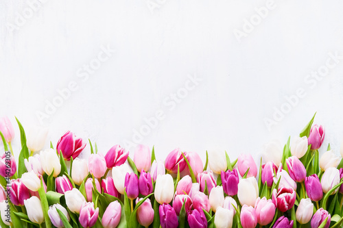 Pink and white tulips on a white background, selective focus. Mothers Day, birthday celebration concept.