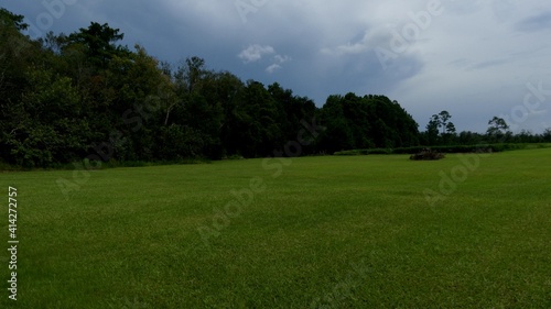 Country Landscape with Grass Field and Trees