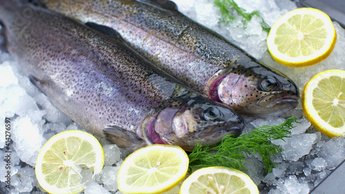 Fotografi Fresh char fish on ice with lemon slice