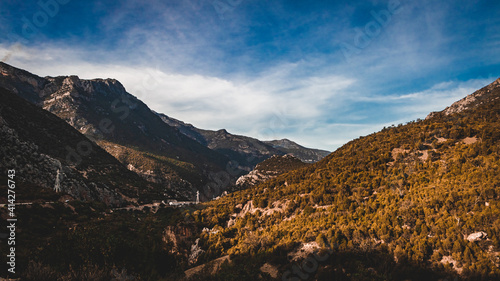 landscape in the morning