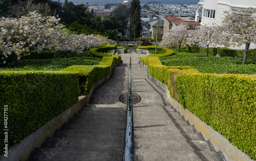 Lyon Street Steps in San Francisco